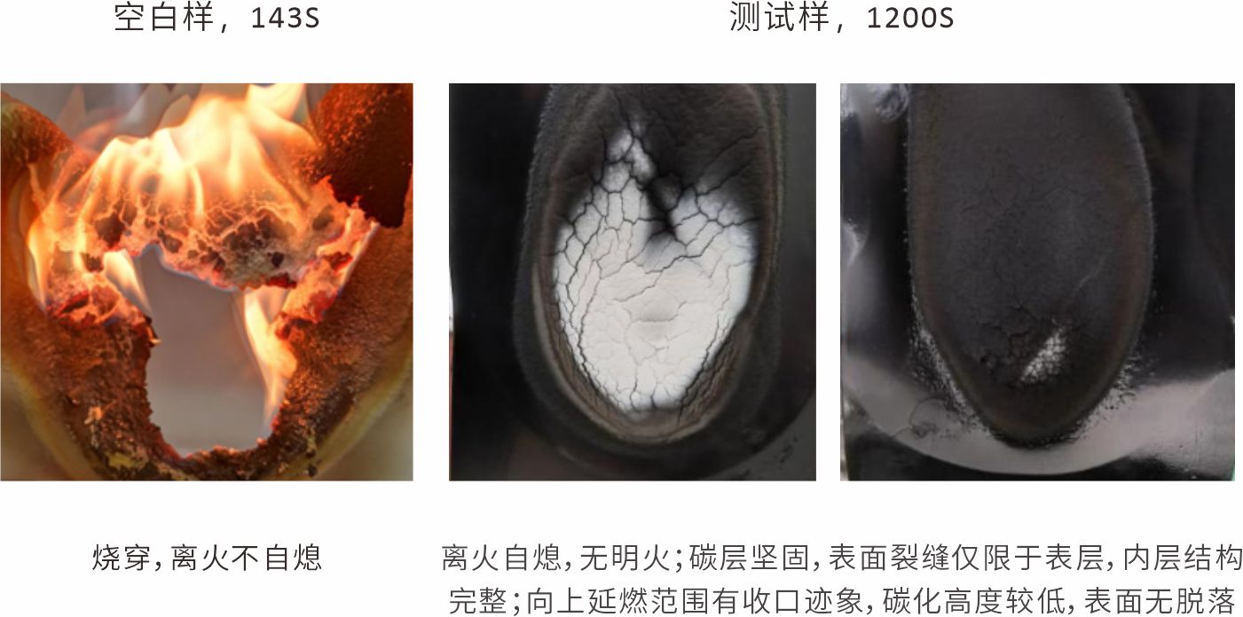 纳米黏土成炭剂中文20230404.jpg