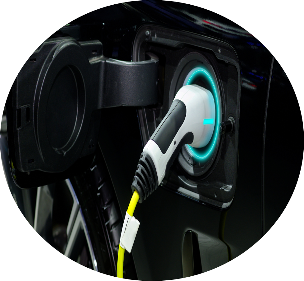 图片11.png 图片11.png